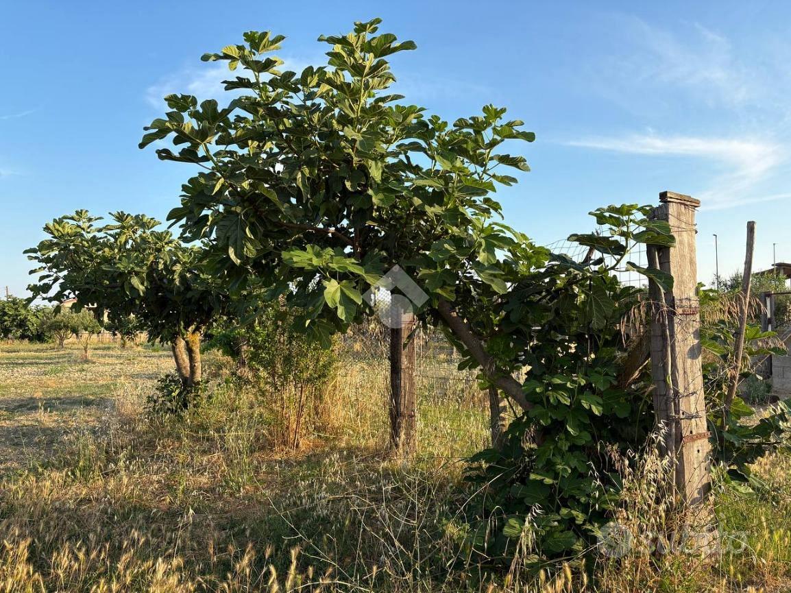 TER. RESIDENZIALE A BOTRICELLO - Altro