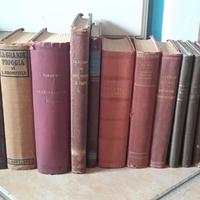 Lotto libri antichi classici romanzi anni 1918