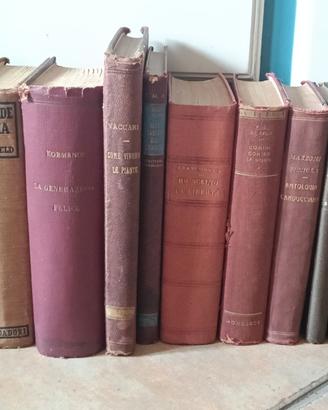 Lotto libri antichi classici romanzi anni 1918