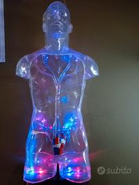 medicina corpo umano enciclopedia medica de agosti