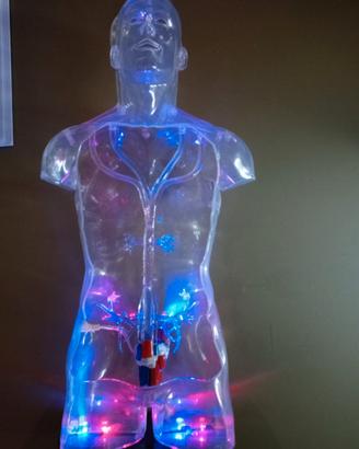 medicina corpo umano enciclopedia medica de agosti