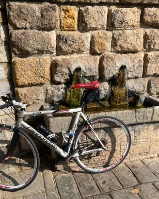Bici da corsa