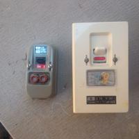 Interruttori bipolari con fusibili vintage