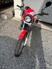 Beta Alp 200