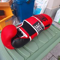 Guanti boxe e thai boxe