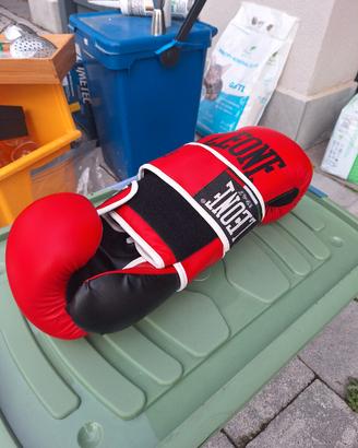 Guanti boxe e thai boxe
