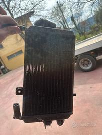 Radiatore exagon 180