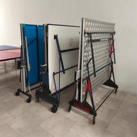 ping pong professionali