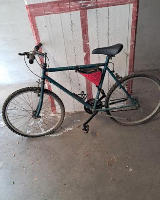 Mountan bike da uomo Nuzzi Azur vintage