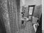 Immagine 9