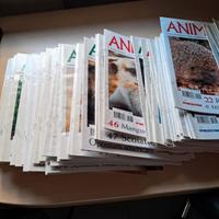 Enciclopedia degli animali 