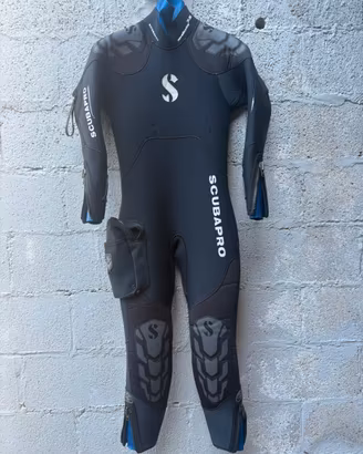 Muta semistagna