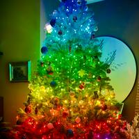 Albero di Natale completo di luci Twinkly