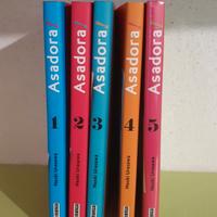 Asadora 1-5