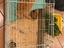 Immagine 3