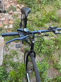 Bici da uomo o donna