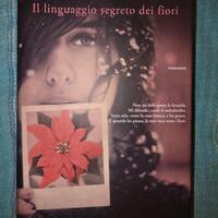 il linguaggio segreto dei fiori