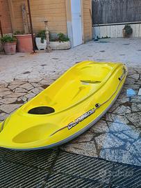 Kayak Bic e carrello