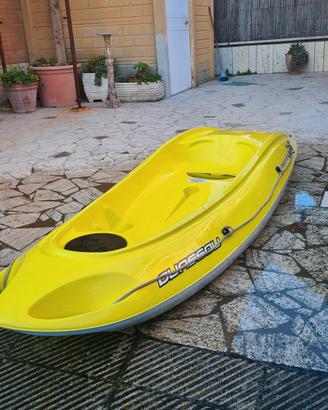 Kayak Bic e carrello