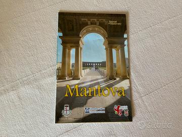 Cartina turistica Mantova