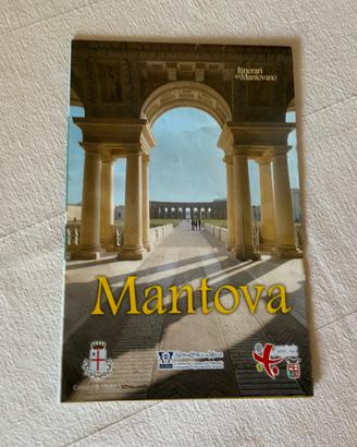 Cartina turistica Mantova