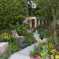 lavori di giardinaggio 