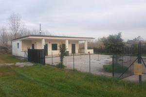 Villino arredato, immerso nel verde (mondragone)