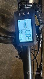 Bicicletta elettrica