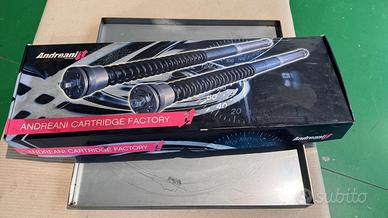 Kit Pompanti forcella Andreani MV Agusta F4 1000