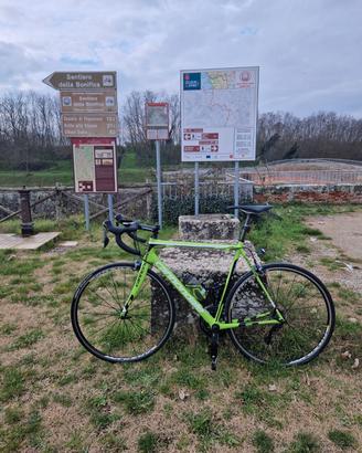 cannondale super six 56 