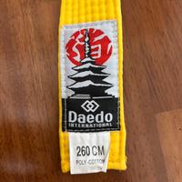 Cintura Gialla Taekwondo