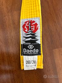 Cintura Gialla Taekwondo