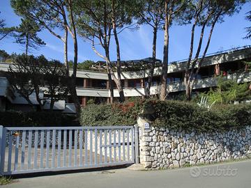 BOCCA DI MAGRA (sp) MONOLOCALE