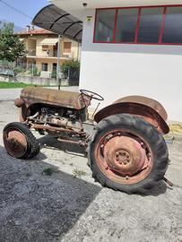 Trattore Massey Ferguson d’epoca