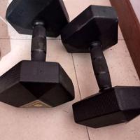 2 pesi da 10 kg rovinati (hanno dei graffi)