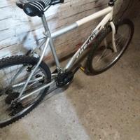 Bicicletta Mountain bike Frejus 