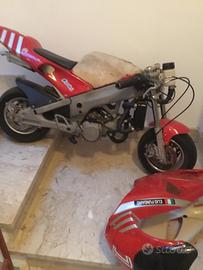 Minimoto polini