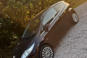 Ford fiesta ok neopatentati