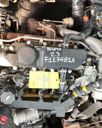 MOTORE F1E3481A 2.3 TD