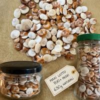 Conchiglie santa lucia