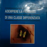 Adempiere la promessa di una classe differenziata