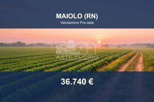 Immobile in asta di 42260 m² a Maiolo