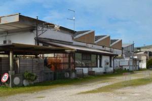 RGE 204/2024 Tribunale Verona