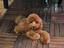 Immagine 1