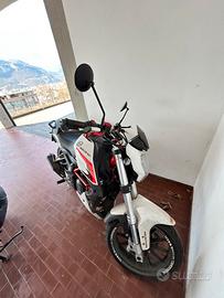 Benelli bn 251 2016