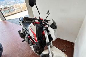 Benelli bn 251 2016