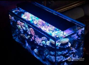 Plafoniera LED BRIDGELUX per acquari 120 cm