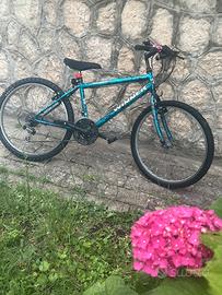 Bicicletta