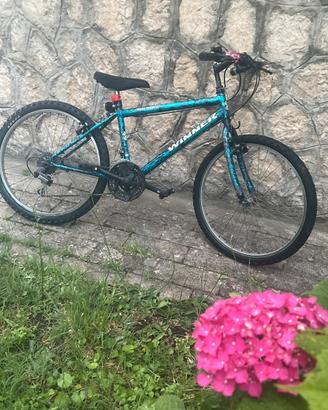 Bicicletta