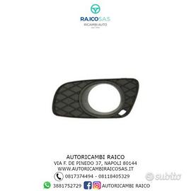 Griglia Cornice Fendinebbia Smart Fortwo 451 2007